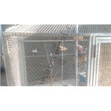 Aviary Mesh - Stainless Steel Rope Mesh Home of Birds